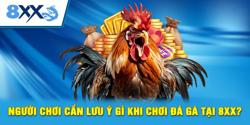 Người chơi cần lưu ý gì khi chơi đá gà tại 8xx?