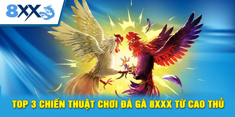 Top 3 chiến thuật chơi đá gà 8xxx từ cao thủ