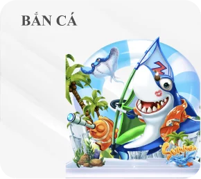 SẢN PHẨM CỦA 8XX