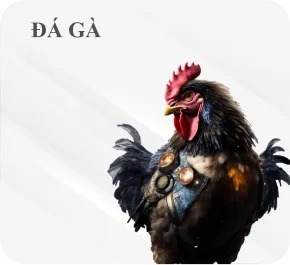 SẢN PHẨM CỦA 8XX