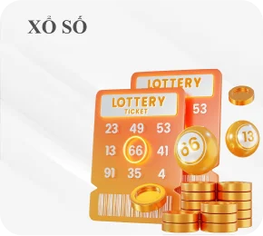 SẢN PHẨM CỦA 8XX